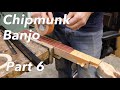 Chipmunk Banjo: Part Six