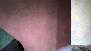 Capture 20130609