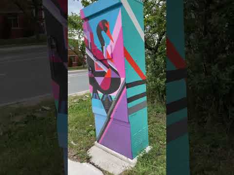 Nelly Paints Traffic Signal Box