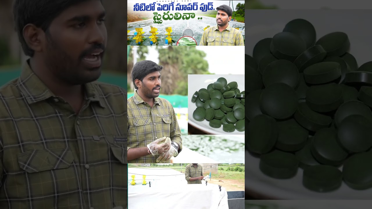 spirulina farming in Telugu 