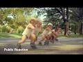 Roller Babies 👶 - Groovy Baby Music Video : Sodakku mela Sodakku Tamil song HD 2018