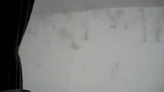 MVI_2372.avi