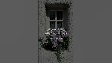 القران الكريم ما شاء الله تبارك الله منظر جميل كمان