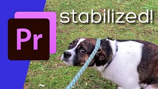 2021 Premier Pro Stabilization Comparison in 5 minutes