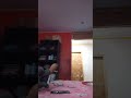 no tuve ideas entonses le robe el peluche ami hermano #memes