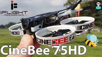 iFlight CineBee 75HD - Review, Setup & Flight