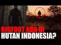 BIGFOOT MISTERI PENGUASA HUTAN
