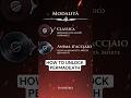 HOW TO UNLOCK PERMADEATH ON HOLLOW KNIGHT : SILKSONG CHEAT CODE  #videogiochi #silksong