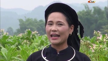 Dân ca Tày - Vẻ vằn quý, Kỹ thuật đây (hát lượn)