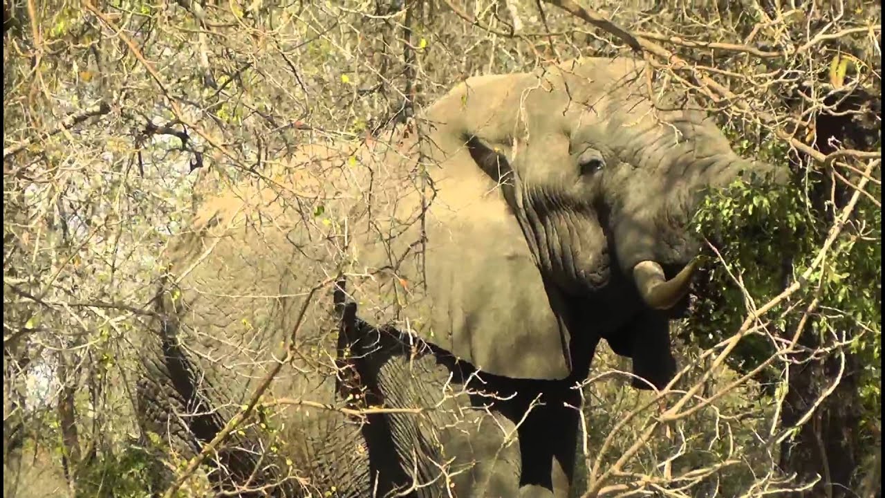Rondreis Zuid Afrika 2013