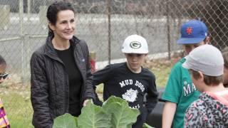 The Initiative for Healthy Schools