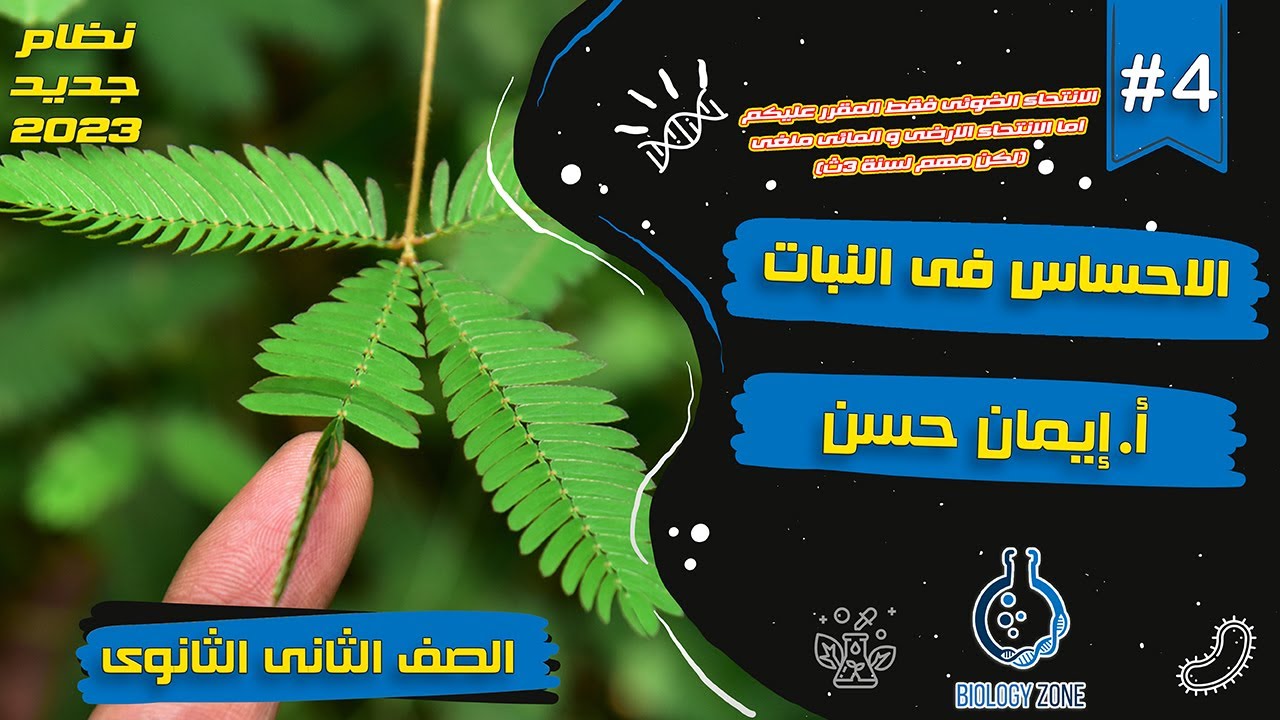 #4 | شرح درس الاحساس فى النبات | احياء تانيه ثانوى الترم الثانى 2023 | إيمان حسن 🌳✅💯