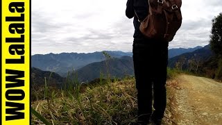 探訪藤枝「集頂山」&amp;「馬里山」咖啡莊園[週末小旅|Weekend's ...