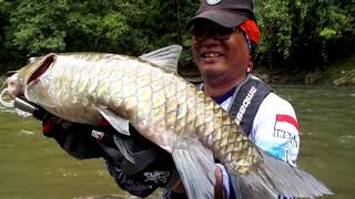 Berburu Mahseer di pedalaman Pulau kalimantan