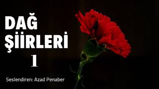 Azad Penaber - Göçün Şiiridir Yalnızlığımız (Dağ Şiirleri - 1) Resimi