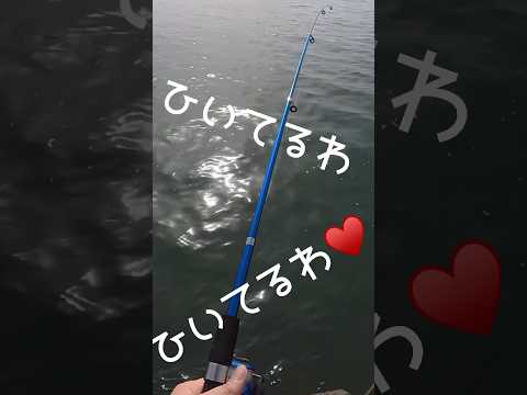 青イソメぶちまけても頑張って釣り続けた結果