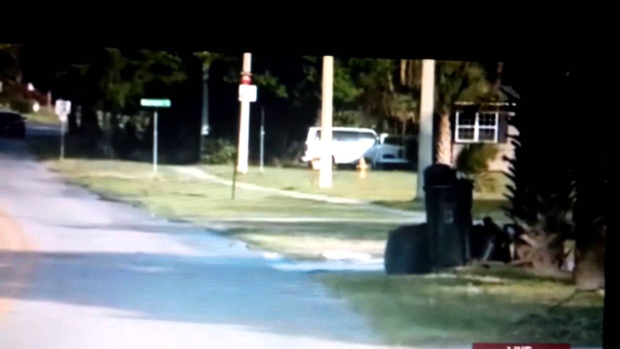 LOL: FL Woman In Tutu & Unicorn Mask Interrupts News Reporters