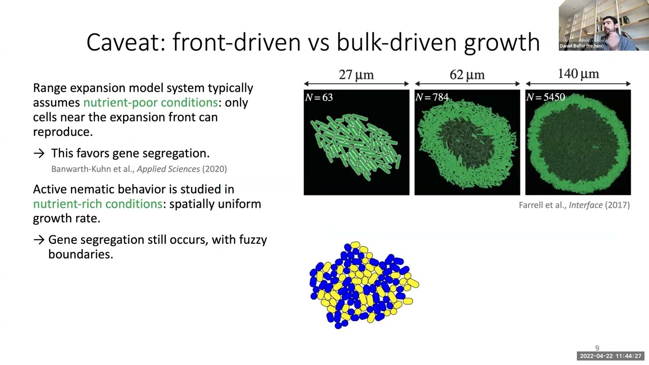 Dan Beller: Does active nematic mixing promote genetic diversity in growing bacteria colonies?