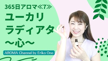 【ユーカリ  ラディアタ・心への働きと使い方】ユーカリ  ラディアタの精油の心へ対する嬉しい働きと使い方、精油情報、注意事項などをご紹介　[365日アロマ⑦]　ー　Ep.124