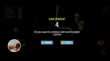 Worms Zone .io - Voracious Snake - 2020-02-12