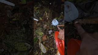 Home Made Organic Fertilizer For Plants
