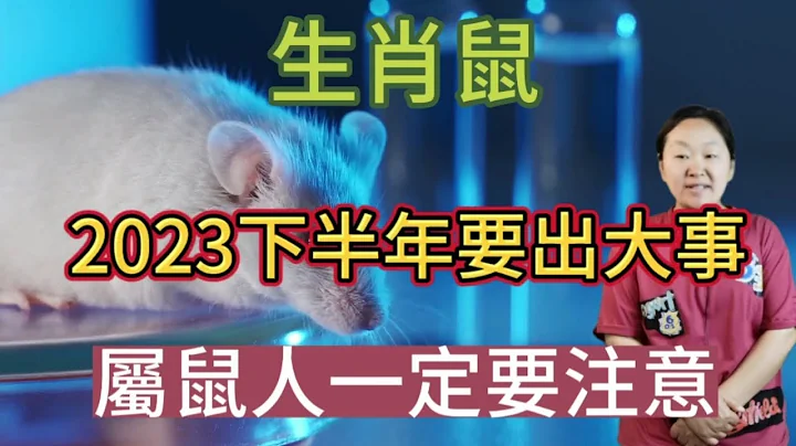 【生肖鼠】属鼠人2023下半年有什么大事呢？属鼠人运势财运应注意的事项？此影片讲述生肖属鼠人！#爱华 - 天天要闻