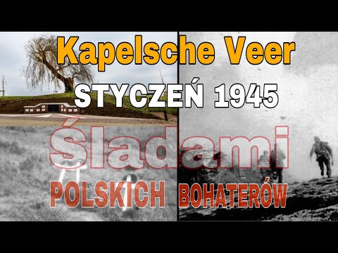 Wideo: Maid Eaglets: Pionierzy-bohaterowie Zastrzeleni Przez Nazistów, O Których Nie Powiedziano Nam W Szkole - Alternatywny Widok