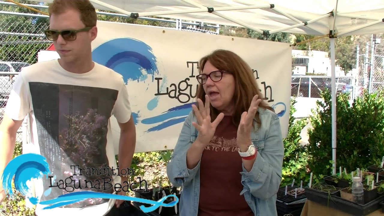 Transition Laguna's Harvest Festival 2014