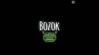 Bozok 31
