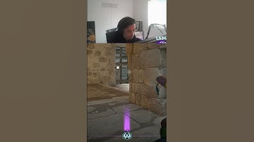 Stewie2K’s USP Goes Nuclear — 4 Headshots, 0 Mercy 🔥🔫