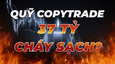Quỹ Copy Trade 1,6 Triệu Đô Gần Như Đã Cháy Sạch. Tại Vì Sao? - mInvest