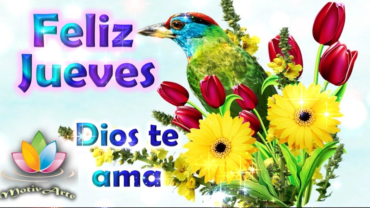 Lindo jueves para todos imagen #9777 Buenos dias feliz jueves Ten un bonito dia Te dedico este lindo mensaje