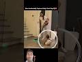 #cute #viral #respect #viralvideo #music #viralshorts #viralreels #shortsfeed #shortsviral #shorts