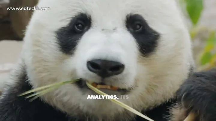 🔍 Top Data Analytics Tools: Excel, SQL, Python & More – Which One Should You Learn?