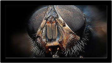Save (And Sharpen) Your Photos For Web In Photoshop