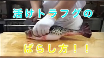 ふぐの捌き方 Youtube