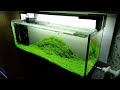 Задний фон и декорация в аквариум своими руками/DIY background and decoration for the aquarium