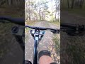 Фрирайд #mtb #insta360 #downhill