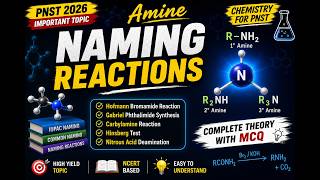 Amines One Shot | Last Minute Revision | PNST & ADDET 2026