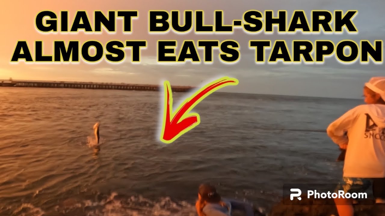 *Кемпинг и рыбалка в заливе Себастьян* + *Таропон Riley's PB*