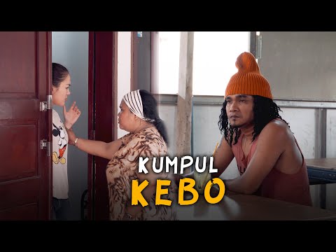 KUMPUL KEBO