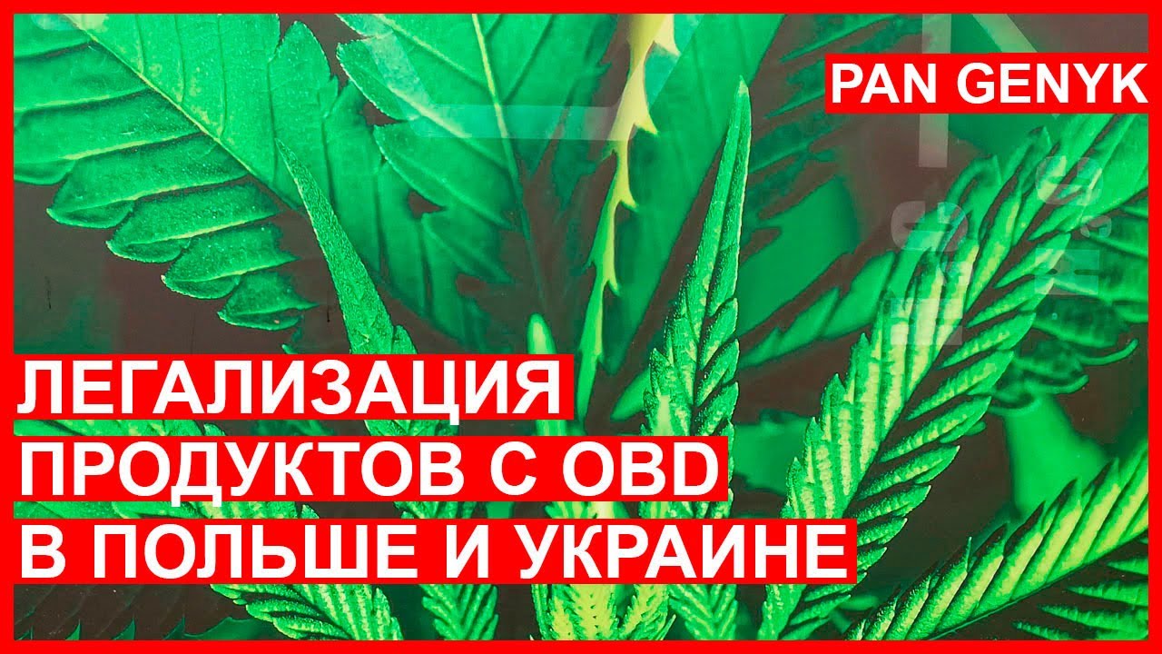 Легализация медицинской марихуаны в Украине - как это работает в Польше. CBD