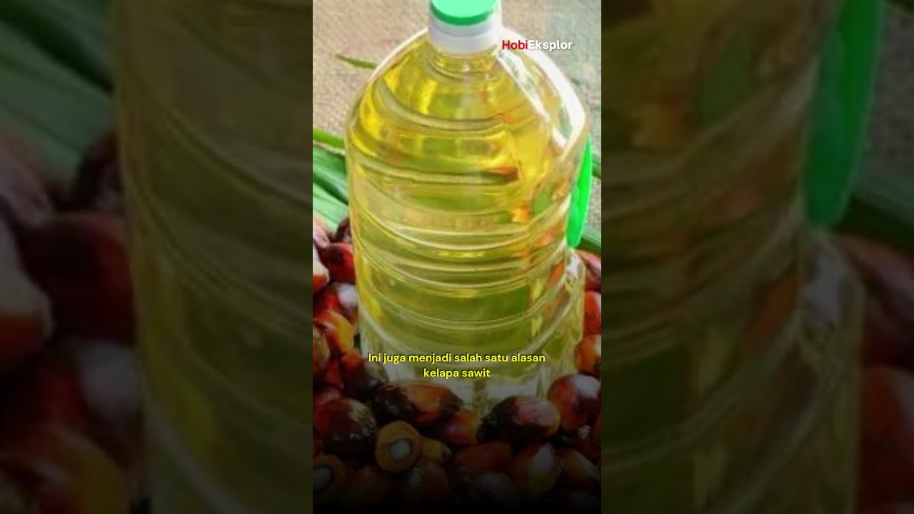 Kelapa Sawit, Salah Satu Sumber Daya Utama Ekspor Indonesia