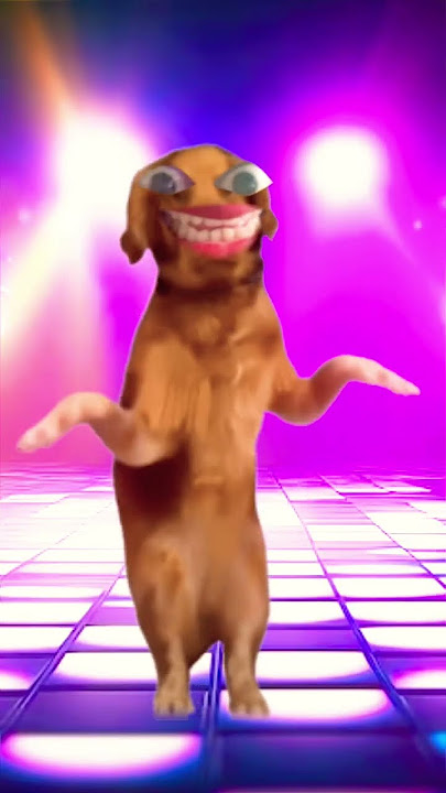 Dj maro bhooo bhooo 😂🤣#funnydogs