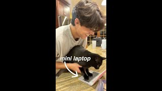 buying my cat her own laptop so she'll stop sitting on mine