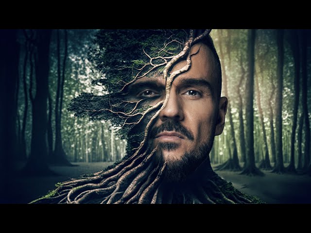 sddefault.jpg?v=64087652