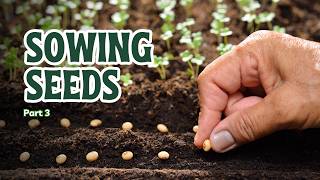Sowing Seeds, Pt  3: Bishop Abraam