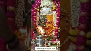 mahakal live darshan 2022 mahadev shorts mahakal aarti status video || mahakal status ????