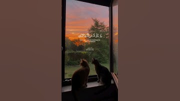 الـقـارئ  : مـاهر المعيقلي  ||سورة الإسراء