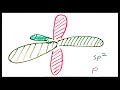 Understanding SP2 Hybridization and Bonding